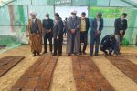 ?افتتاح یک واحد مجتمع گلخانه ای در شهر کاخک